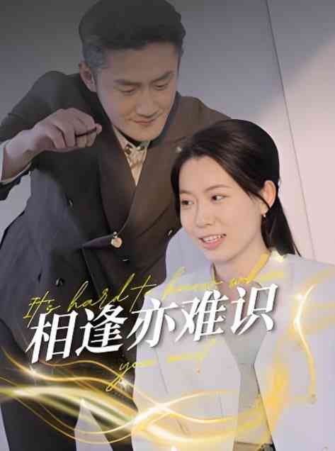 《相逢亦难识》全集免费高清短剧无广告在线播放|短剧·中国大陆·2025  第1张