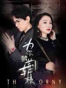 《为你披荆斩棘》全集免费高清短剧无广告在线播放|短剧·中国大陆·2024  第1张