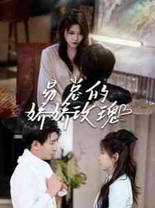 《易总的娇娇玫瑰》全集免费高清短剧无广告在线播放|短剧·中国大陆·2024  第1张