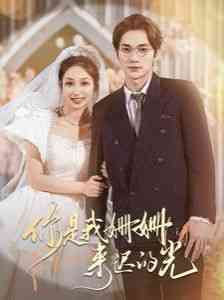 《你是我姗姗来迟的光》全集免费高清短剧无广告在线播放|短剧·中国大陆·2024  第1张