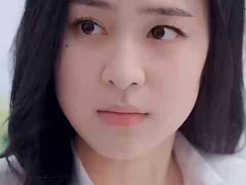 《城南花正开》全集免费高清短剧无广告在线播放|短剧·中国大陆·2024  第1张