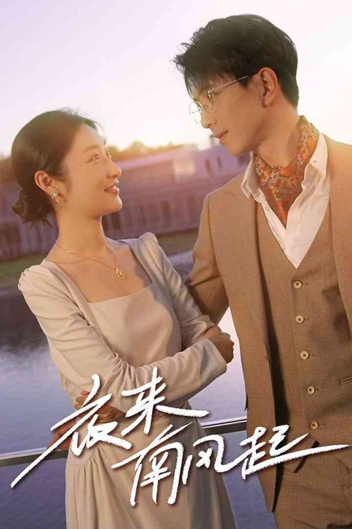 《夜来南风起》全集免费高清短剧无广告在线播放|短剧·中国大陆·2024  第1张