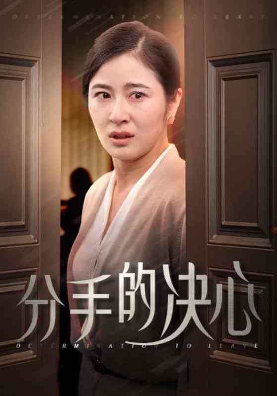 《分手的决心》全集免费高清短剧无广告在线播放|短剧·中国大陆·2024  第1张