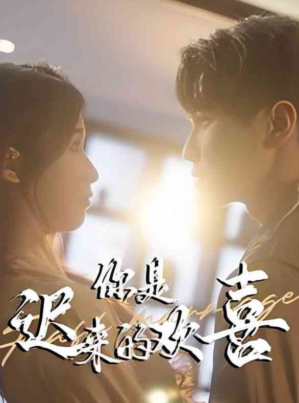 《你是迟来的欢喜》全集免费高清短剧无广告在线播放|短剧·中国大陆·2025  第1张