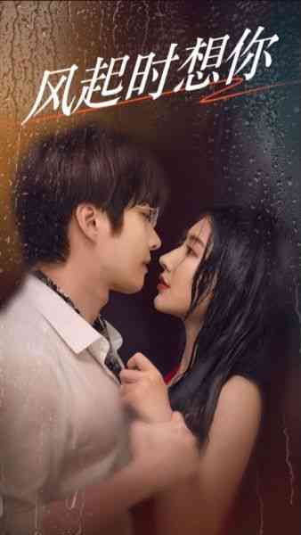 《风起时想你》全集免费高清短剧无广告在线播放|短剧·中国大陆·2024  第1张