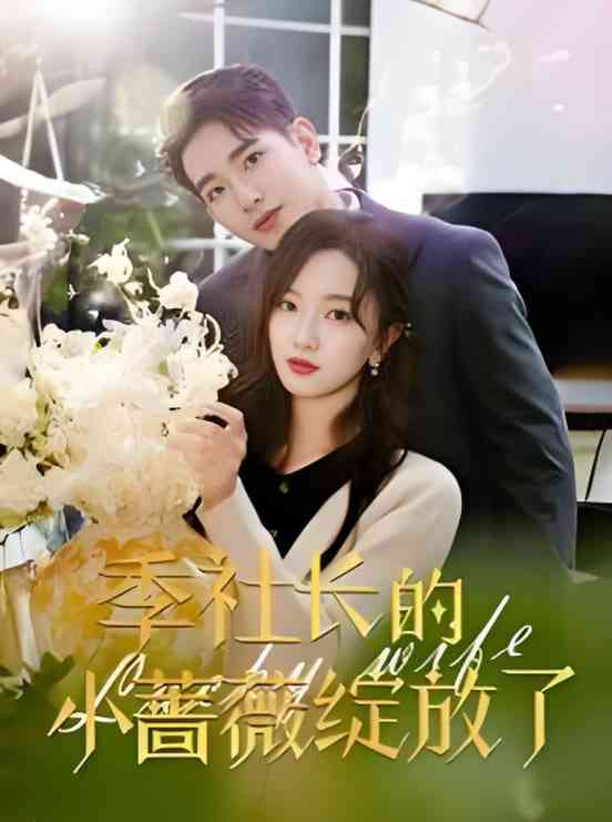 《季社长的小蔷薇绽放了》全集免费高清短剧无广告在线播放|短剧·中国大陆·2025  第1张