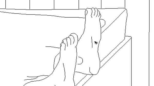 《逝者如斯蝇》免安装汉化版》游戏免费下载|冒险游戏·生存·像素图形·开放世界·独立  第4张