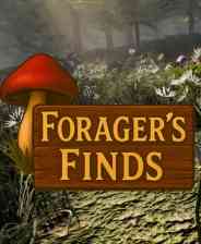 《Forager's Finds》demo》游戏免费下载|冒险游戏·自然·步行模拟·探索  第1张