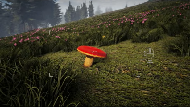 《Forager's Finds》demo》游戏免费下载|冒险游戏·自然·步行模拟·探索  第3张