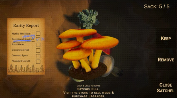 《Forager's Finds》demo》游戏免费下载|冒险游戏·自然·步行模拟·探索  第4张