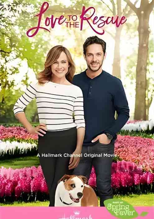 《救助狗狗遇到爱》最新免费高清电影无广告在线播放|喜剧,爱情·美国·2019  第1张