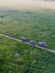 《大自然的守护者》最新免费高清电影无广告在线播放|纪录片,纪录·中国大陆·2023  第1张