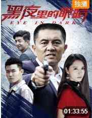 《黑夜里的眼睛》最新免费高清电影无广告在线播放|剧情·中国大陆·2020  第1张