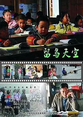 《留鸟天空》最新免费高清电影无广告在线播放|剧情·中国大陆·2010  第1张