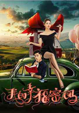 《我的幸福密码》最新免费高清电影无广告在线播放|剧情·中国大陆·2017  第1张