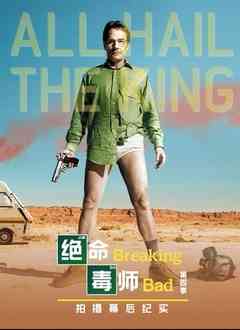 《绝命毒师 第四季 幕后纪实》最新免费高清电影无广告在线播放|纪录·美国·2022  第1张