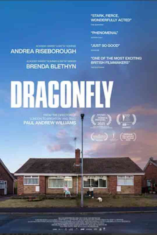 《危情蜻蜓》最新免费高清电影无广告在线播放|剧情,惊悚·英国·2025  第1张