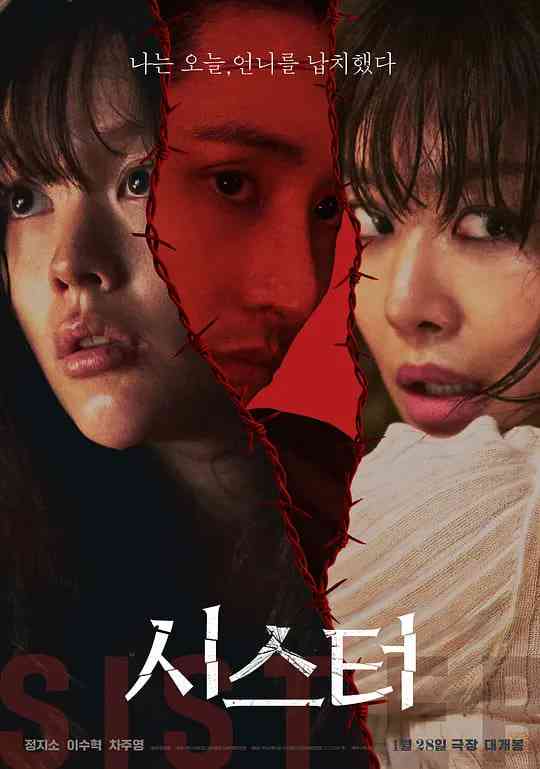 《姐妹》最新免费高清电影无广告在线播放|惊悚,犯罪·韩国·2026  第1张