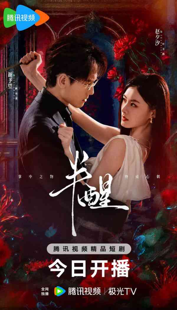 《半醒》全集免费高清电视剧无广告在线播放|爱情·中国大陆·2026  第1张