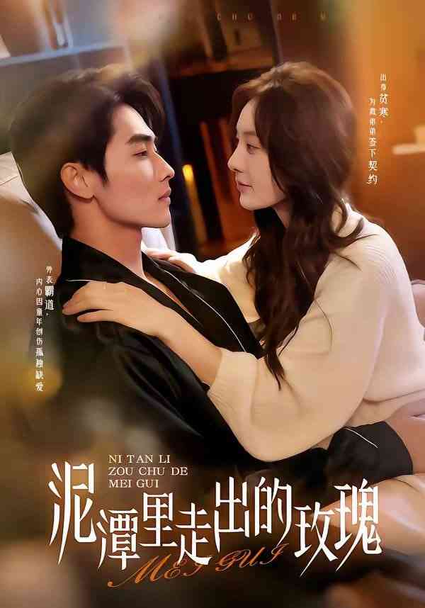 《泥潭里走出的玫瑰》全集免费高清短剧无广告在线播放|短剧·中国大陆·2026