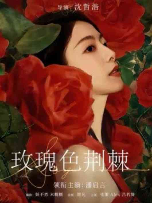 《玫瑰色荆棘》全集免费高清短剧无广告在线播放|短剧·中国大陆·2026