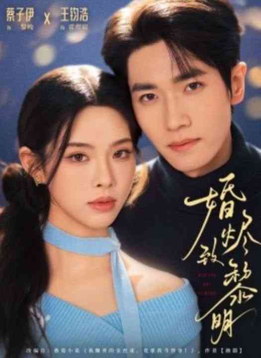 《婚烬致黎明》全集免费高清短剧无广告在线播放|短剧·中国大陆·2026