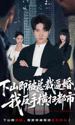 《下山即被总裁逼婚，我反手横扫都市》全集免费高清短剧无广告在线播放|短剧·中国大陆·2026