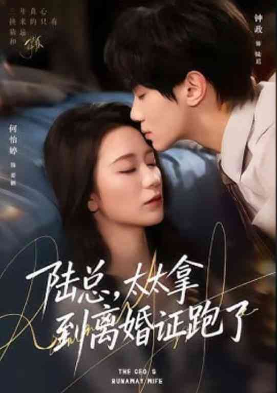 《陆总，太太拿到离婚证跑了》全集免费高清短剧无广告在线播放|短剧·中国大陆·2026