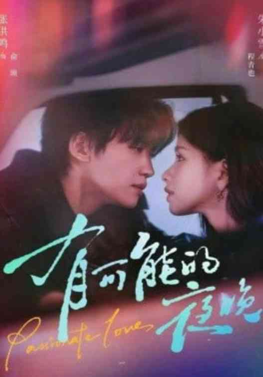 《有可能的夜晚》全集免费高清短剧无广告在线播放|短剧·中国大陆·2026