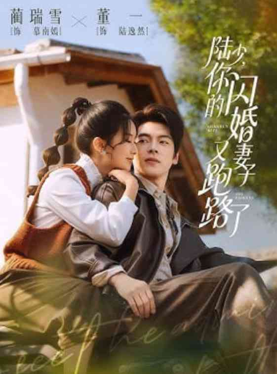 《陆少，你的闪婚妻子又跑路了》全集免费高清短剧无广告在线播放|短剧·中国大陆·2026