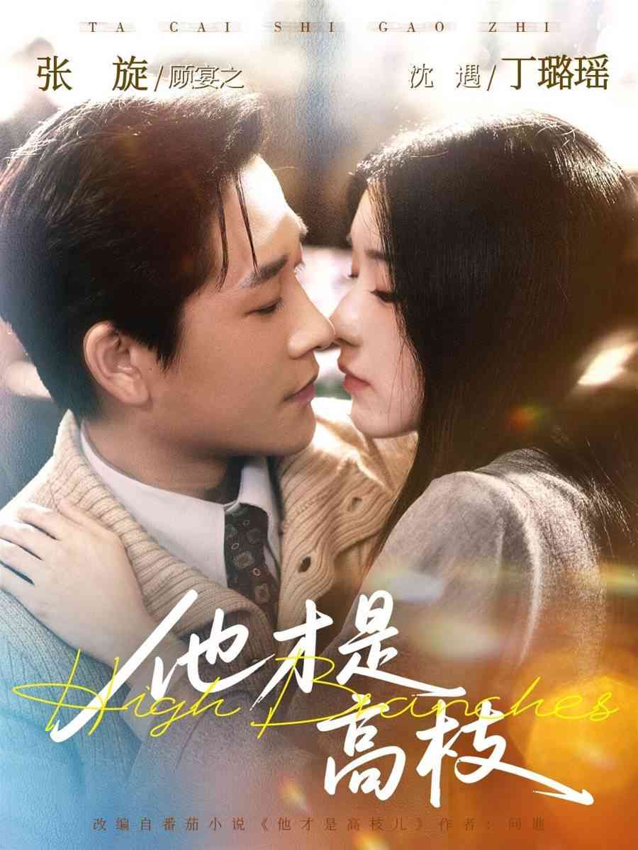 《他才是高枝》全集免费高清短剧无广告在线播放|短剧·中国大陆·2026