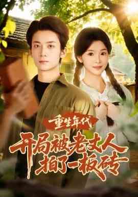 《重生年代开局被老丈人拍了一板砖》全集免费高清短剧无广告在线播放|短剧·中国大陆·2026