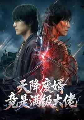 《天降废婿竟是满级大佬》全集免费高清短剧无广告在线播放|短剧·中国大陆·2026