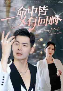 《命中皆有回响》全集免费高清短剧无广告在线播放|短剧·中国大陆·2026