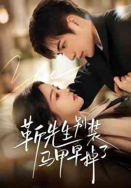 《靳先生别装马甲早掉了》全集免费高清短剧无广告在线播放|短剧·中国大陆·2026