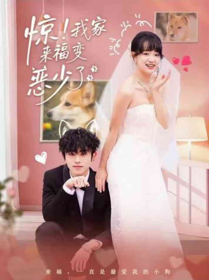 《惊！我家来福变恶少了》全集免费高清短剧无广告在线播放|短剧·中国大陆·2026