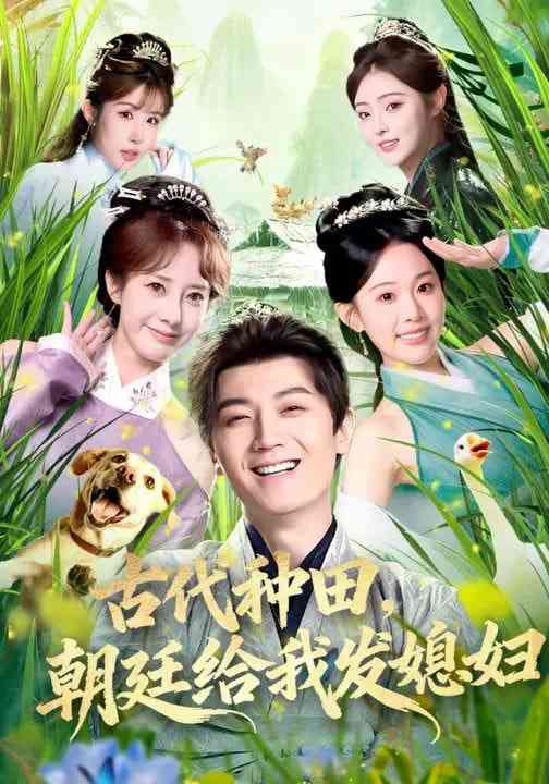 《古代种田，朝廷给我发媳妇》全集免费高清短剧无广告在线播放|短剧·中国大陆·2026