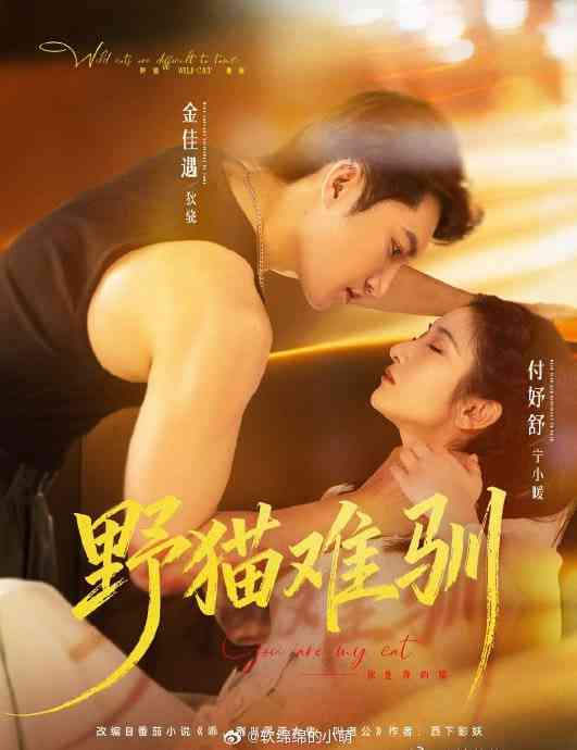 《野猫难驯》全集免费高清短剧无广告在线播放|短剧·中国大陆·2026