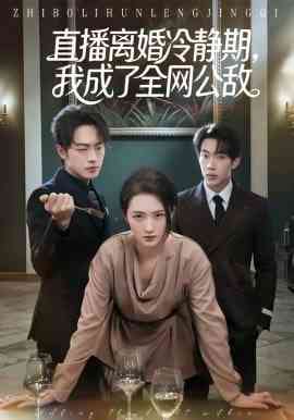 《直播离婚冷静期，我成了全网公敌》全集免费高清短剧无广告在线播放|短剧·中国大陆·2026