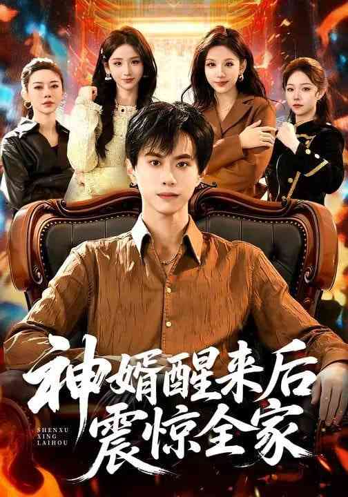 《神婿醒来后震惊全家》全集免费高清短剧无广告在线播放|短剧·中国大陆·2026