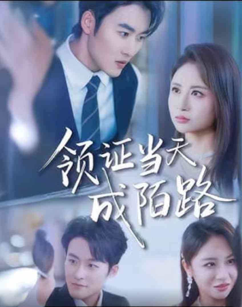 《领证当天成陌路》全集免费高清短剧无广告在线播放|短剧·中国大陆·2026
