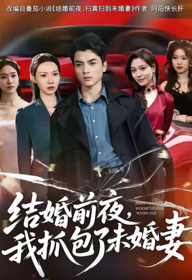 《结婚前夜，我抓包了未婚妻》全集免费高清短剧无广告在线播放|短剧·中国大陆·2026