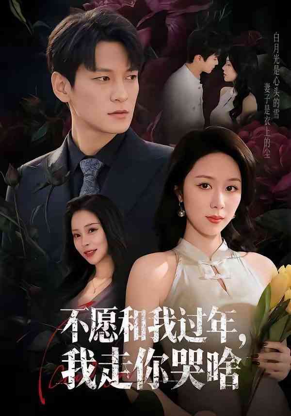 《不愿和我过年，我走你哭啥》全集免费高清短剧无广告在线播放|短剧·中国大陆·2026