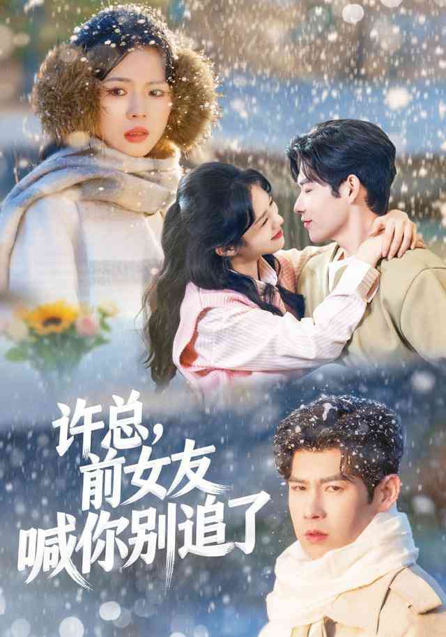 《许总，前女友喊你别追了》全集免费高清短剧无广告在线播放|短剧·中国大陆·2026