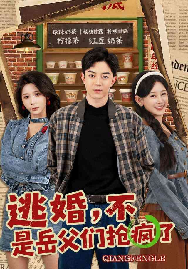 《逃婚，不，是岳父们抢疯了》全集免费高清短剧无广告在线播放|短剧·中国大陆·2026