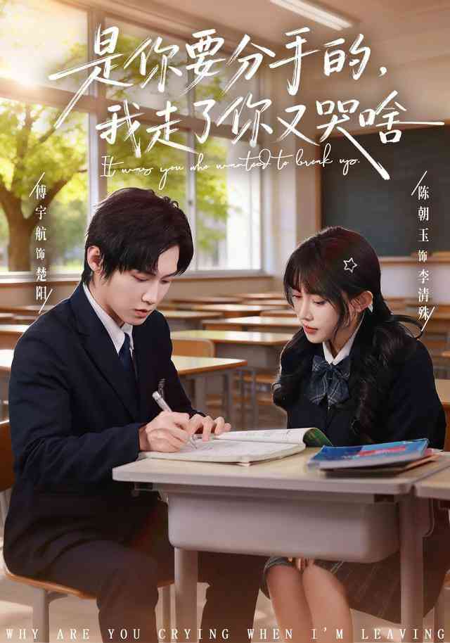 《是你要分手的，我走了你又哭啥》全集免费高清短剧无广告在线播放|短剧·中国大陆·2026