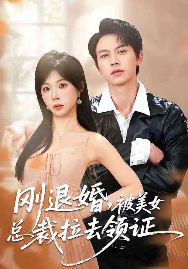 《刚退婚，被美女总裁拉去领证》全集免费高清短剧无广告在线播放|短剧·中国大陆·2026