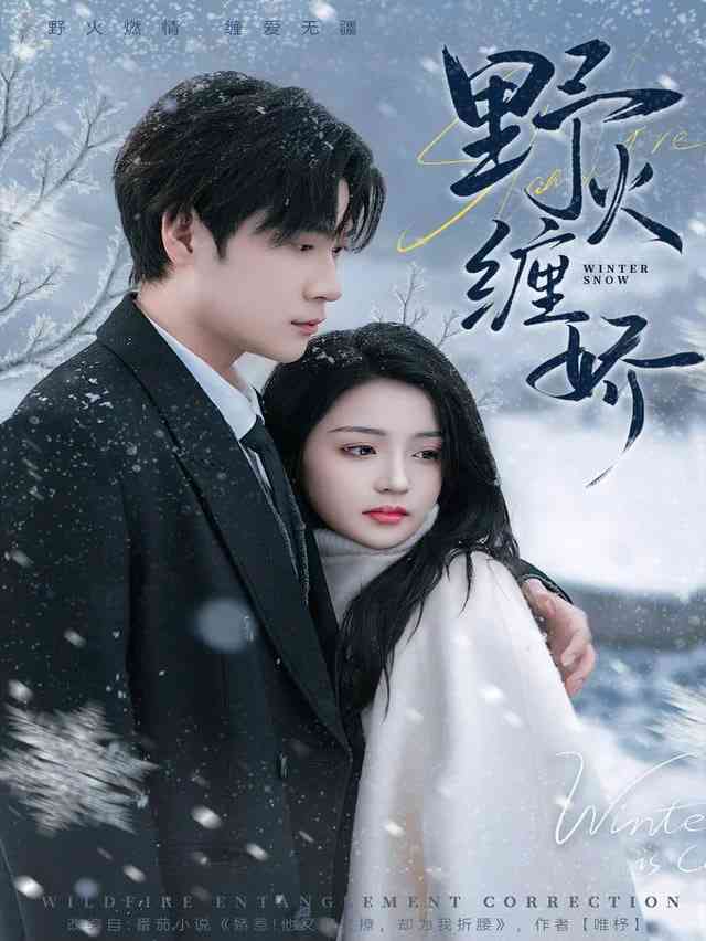 《野火缠娇》全集免费高清短剧无广告在线播放|短剧·中国大陆·2026