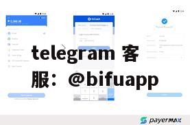 菲律宾支付解决方案的革命：BiFu Pay 的崛起