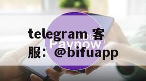 币付Pay：重塑菲律宾第三方支付新生态，引领高效资金流转新纪元